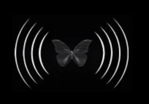 9d breathwork
