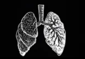 9d breathwork